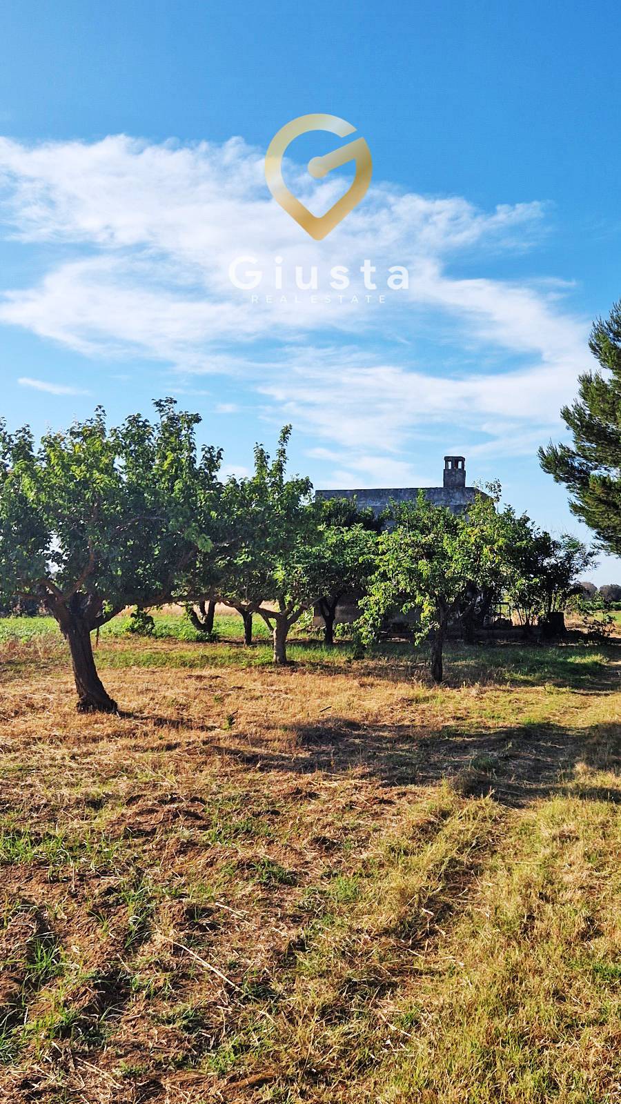 Terreno agricolo in vendita a Mesagne (BR)