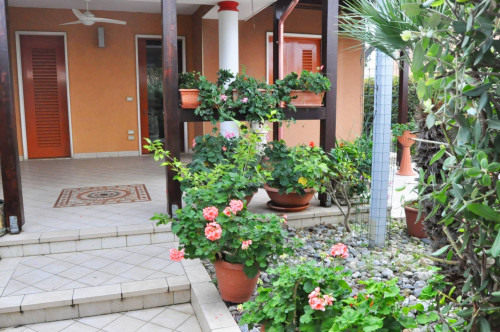  for sale in Brindisi