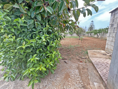 Villa o villino in vendita a Brindisi