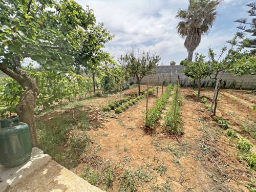 Villa o villino in vendita a Brindisi