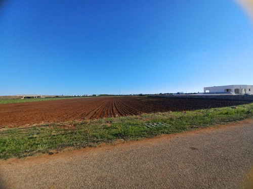 Terreno agricolo in vendita a Santa Sabina, Carovigno (BR)