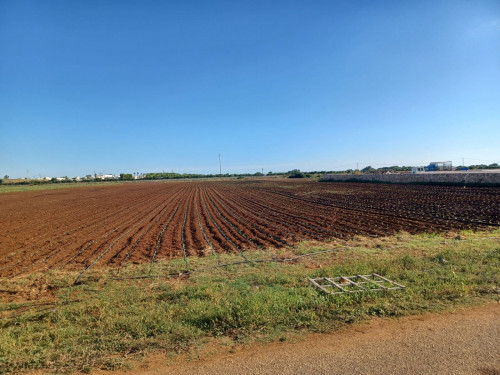 Terreno agricolo in vendita a Santa Sabina, Carovigno (BR)