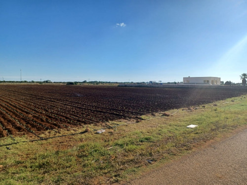 Terreno in vendita a Carovigno