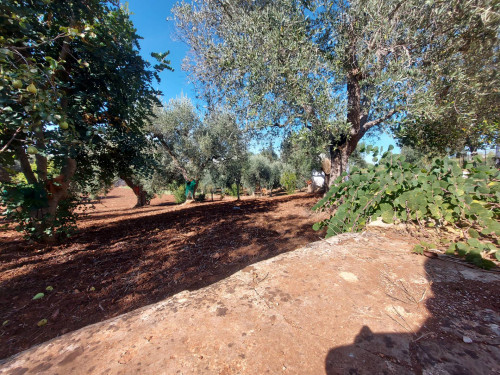 Terreno Edificabile in vendita a Ostuni