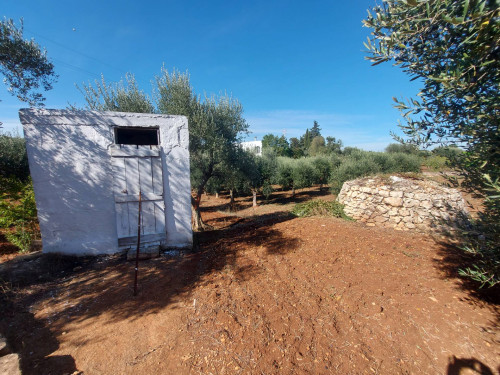 Terreno Edificabile in vendita a Ostuni