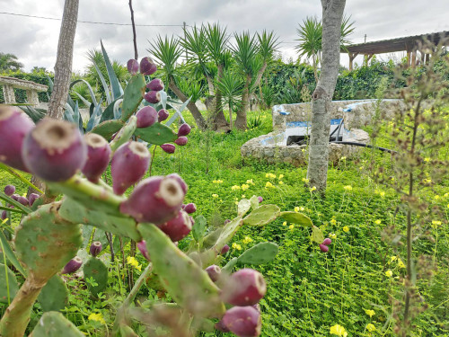 Villa o villino in vendita a Brindisi