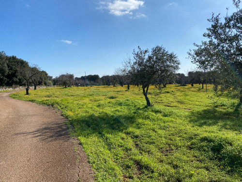 Terreno Edificabile in vendita a Carovigno