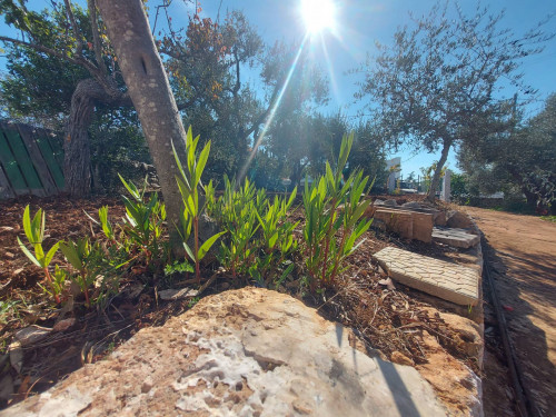 Terreno Edificabile in vendita a Ostuni