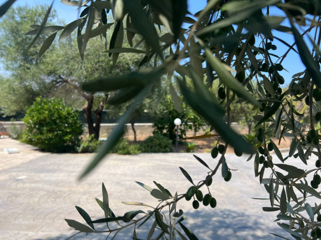 Villetta bifamiliare in vendita a Carovigno