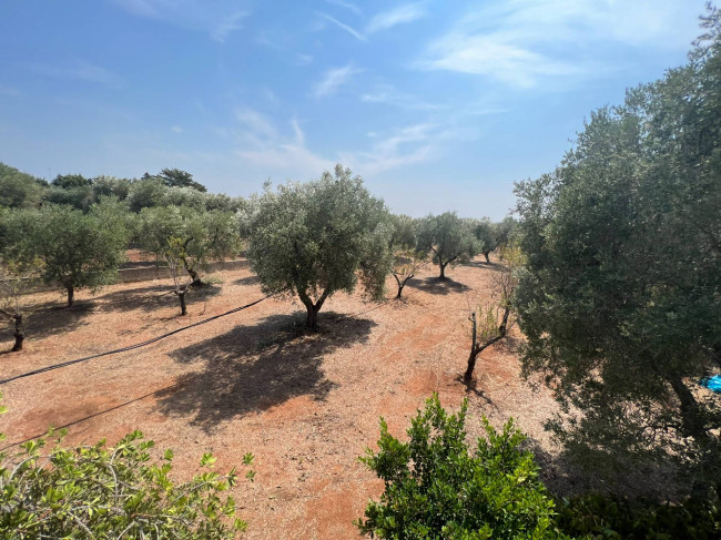 Villetta bifamiliare in vendita a Carovigno