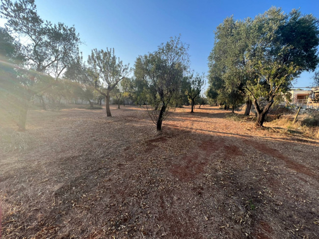 Villetta bifamiliare in vendita a Carovigno