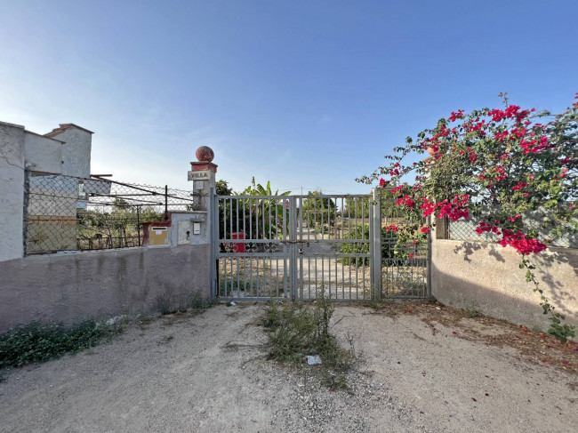  for sale in Brindisi