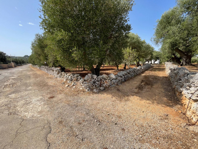 Terreno in vendita a Ostuni