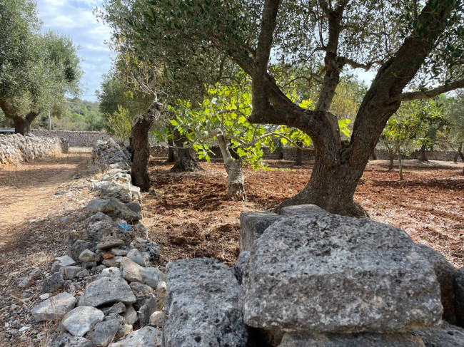 Terreno in vendita a Ostuni