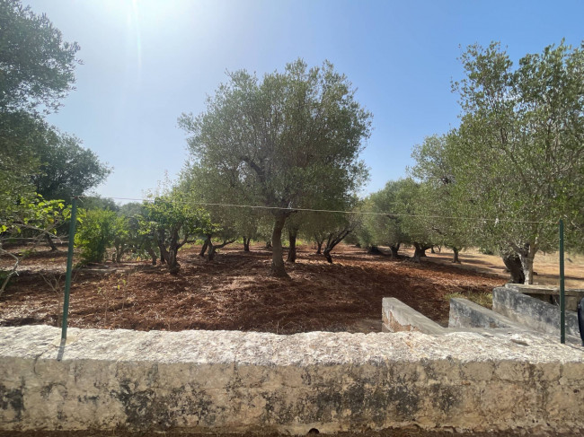 Terreno in vendita a Ostuni