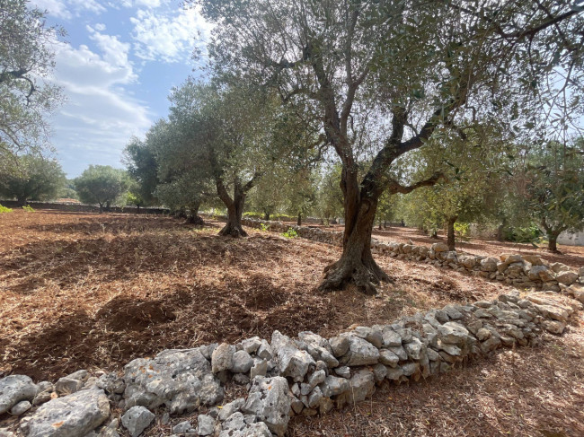 Terreno in vendita a Ostuni