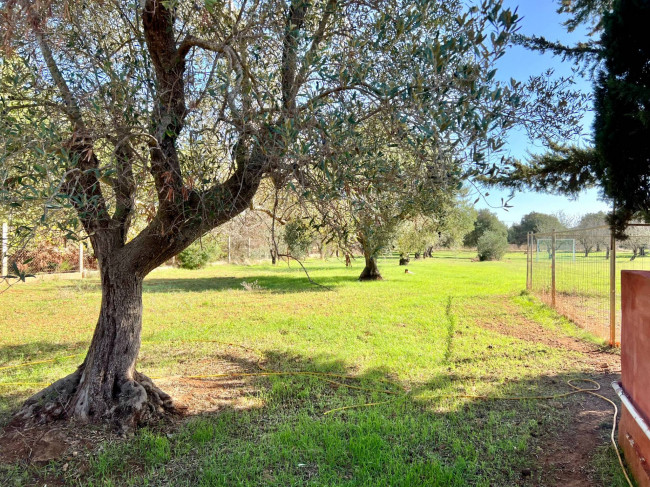 Villa o villino in vendita a Carovigno