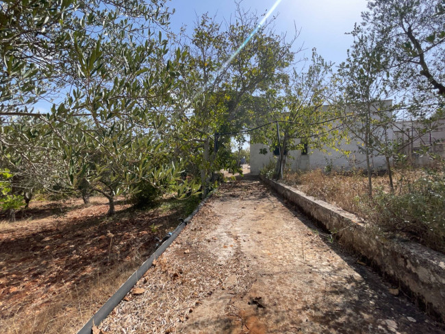 Terreno in vendita a Ostuni