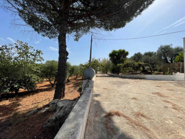 Terreno in vendita a Ostuni