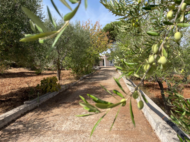 Terreno in vendita a Ostuni