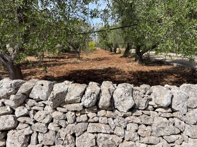 Terreno in vendita a Ostuni