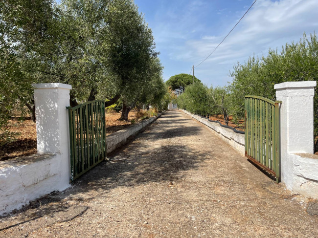 Terreno in vendita a Ostuni