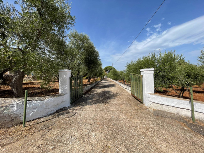 Terreno in vendita a Ostuni