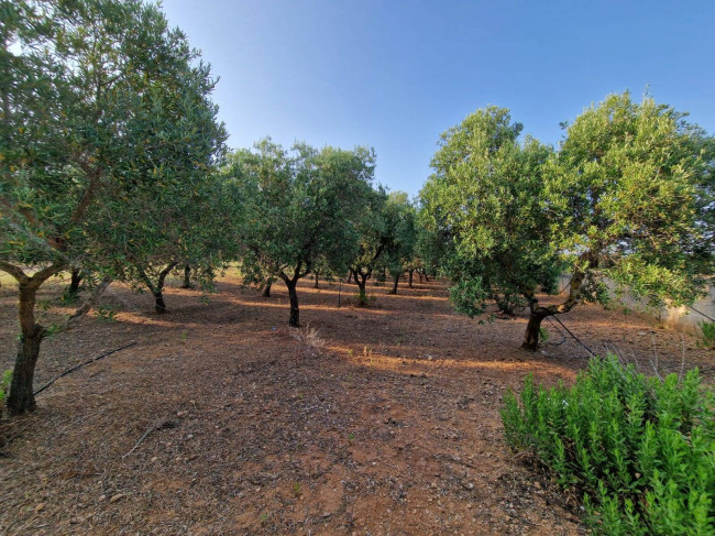 Villa singola in vendita a Carovigno