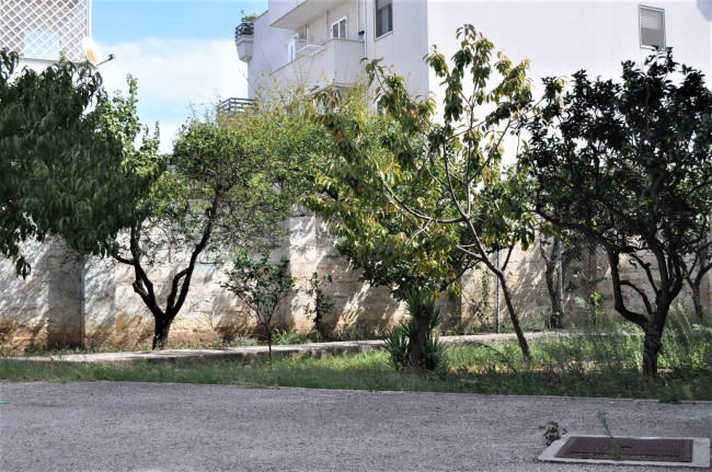  for sale in Brindisi