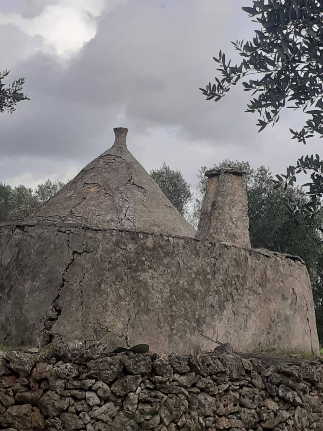 Terreno in vendita a San Michele Salentino