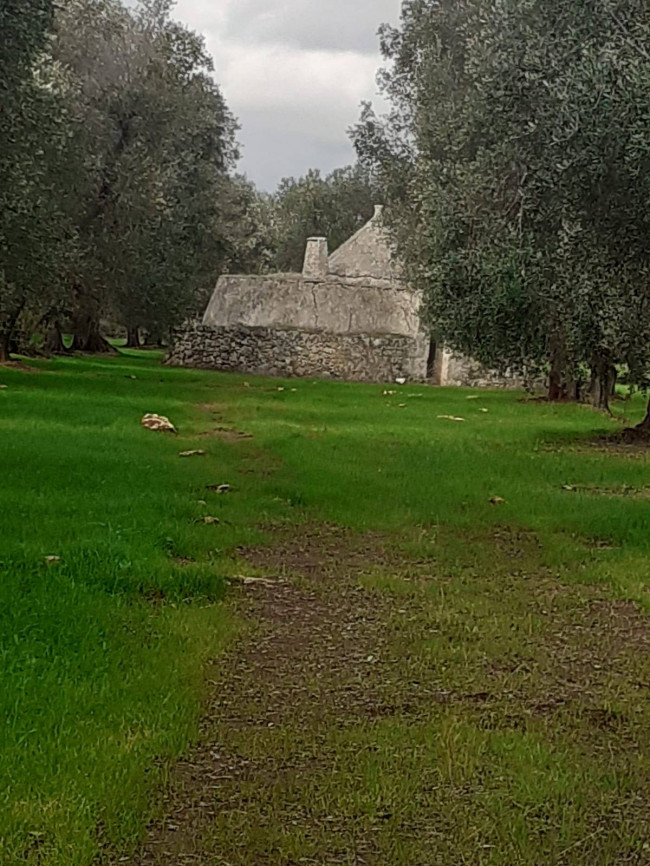 Terreno in vendita a San Michele Salentino