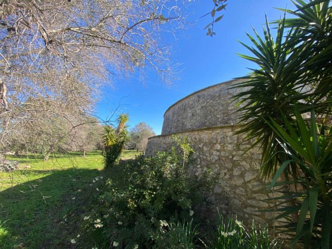 trullo in vendita a Carovigno