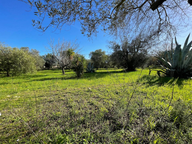 Terreno in vendita a Carovigno