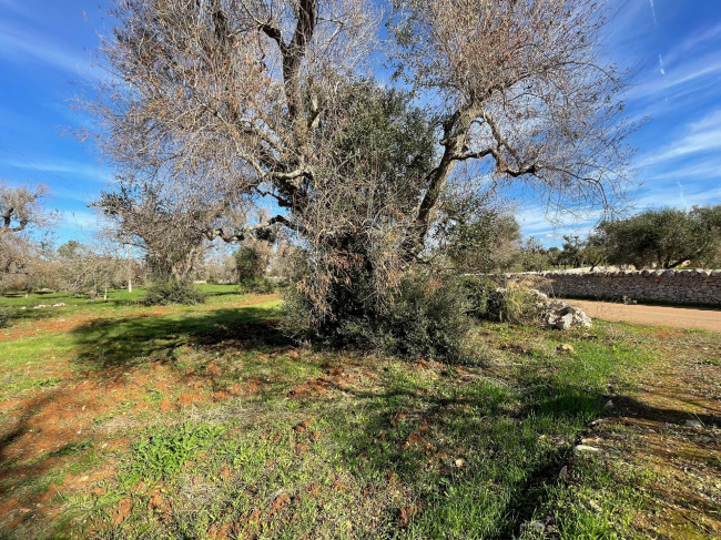 Terreno in vendita a Carovigno