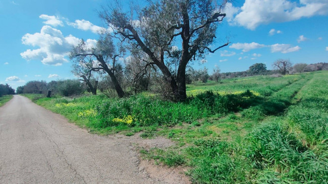 Terreno in vendita a Cellino San Marco