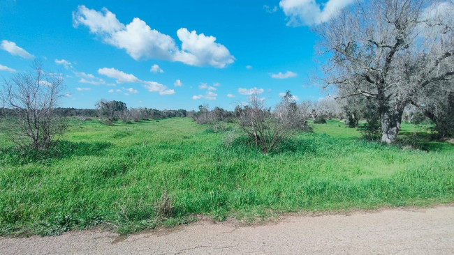 Terreno in vendita a Cellino San Marco