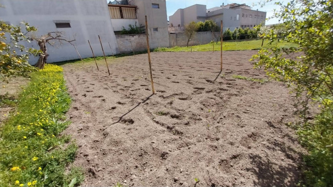 Terreno Edificabile in vendita a Oria