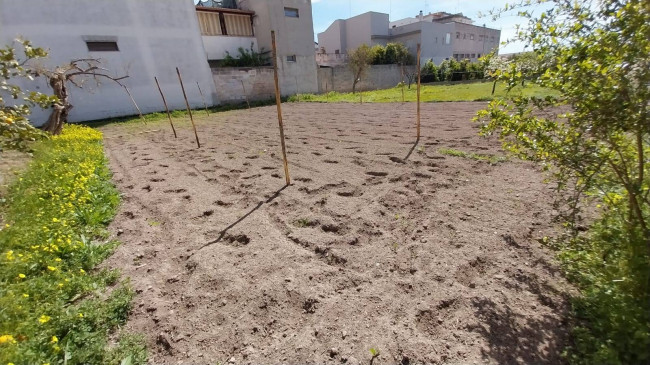 Terreno Edificabile in vendita a Oria