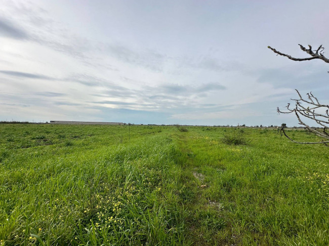 Terreno in vendita a Brindisi