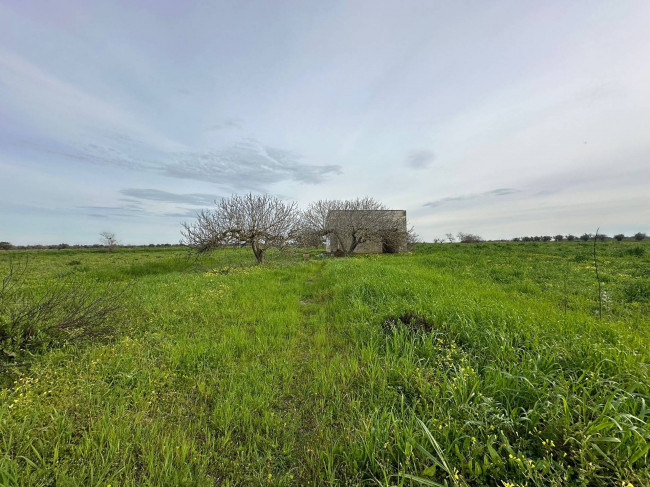 Terreno in vendita a Brindisi