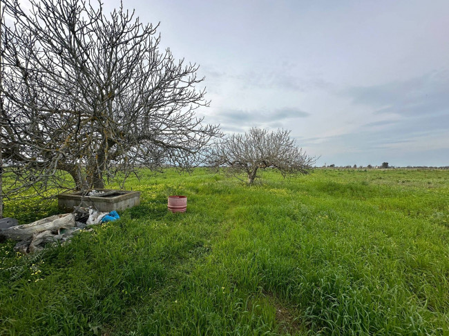 Terreno in vendita a Brindisi