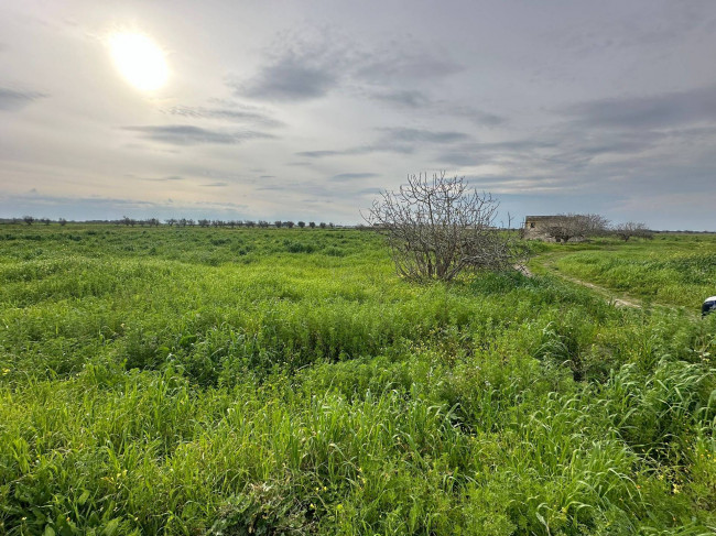 Terreno in vendita a Brindisi