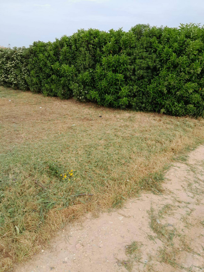 Terreno in vendita a Brindisi