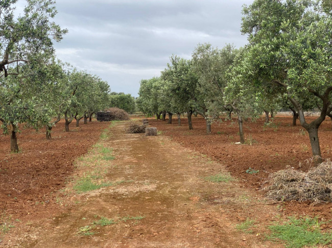 Terreno in vendita a Ostuni