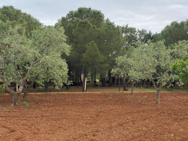 Terreno in vendita a Ostuni