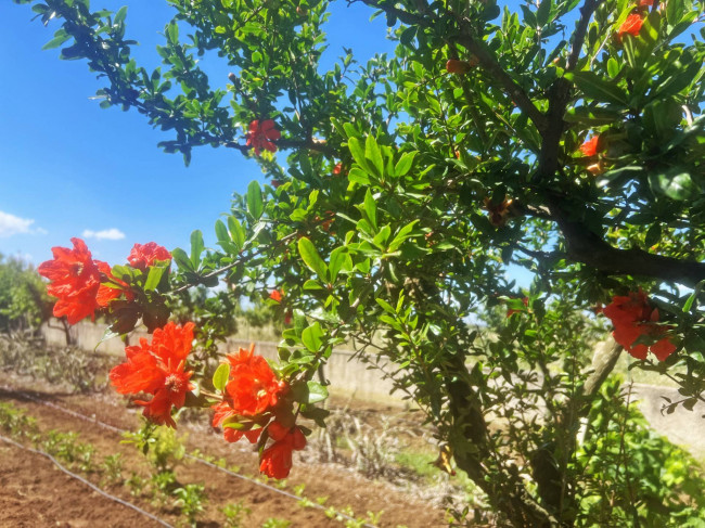 Terreno in vendita a Brindisi