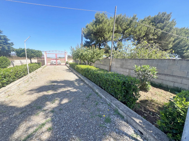  for sale in Brindisi