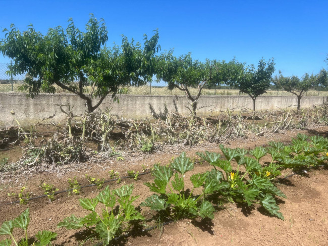 Terreno in vendita a Brindisi