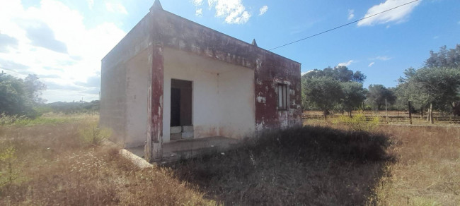  for sale in Francavilla Fontana