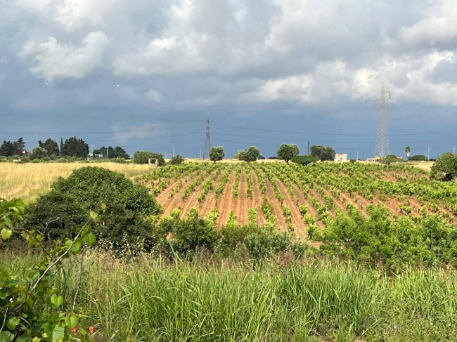 Terreno in vendita a Brindisi